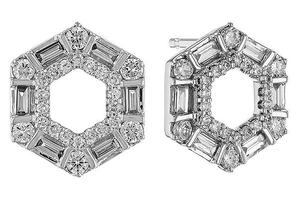 A329-65123: EARR .20 TW BAG .65 TGW