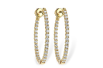 L242-44231: EARR 1.00 TW